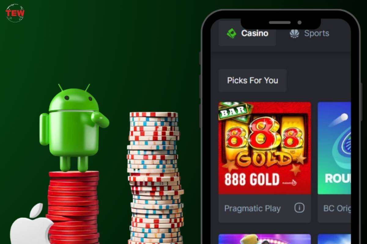 Loads of Bonus Offer Cash Prizes Await in Megapari's Accident Prize Promo
